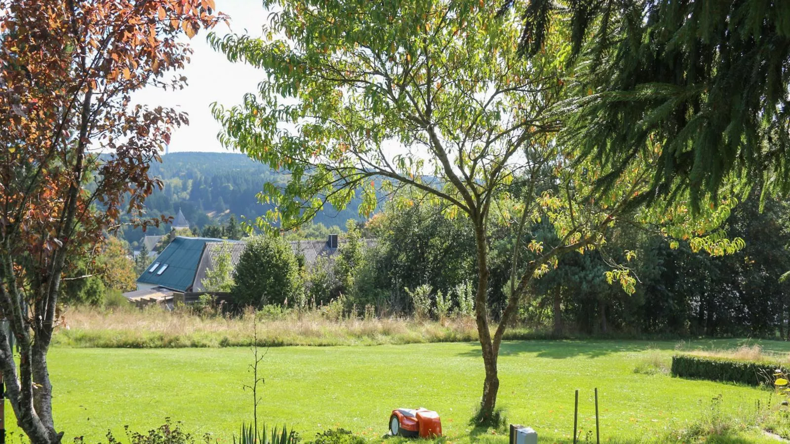 Veronica-Tuinen zomer