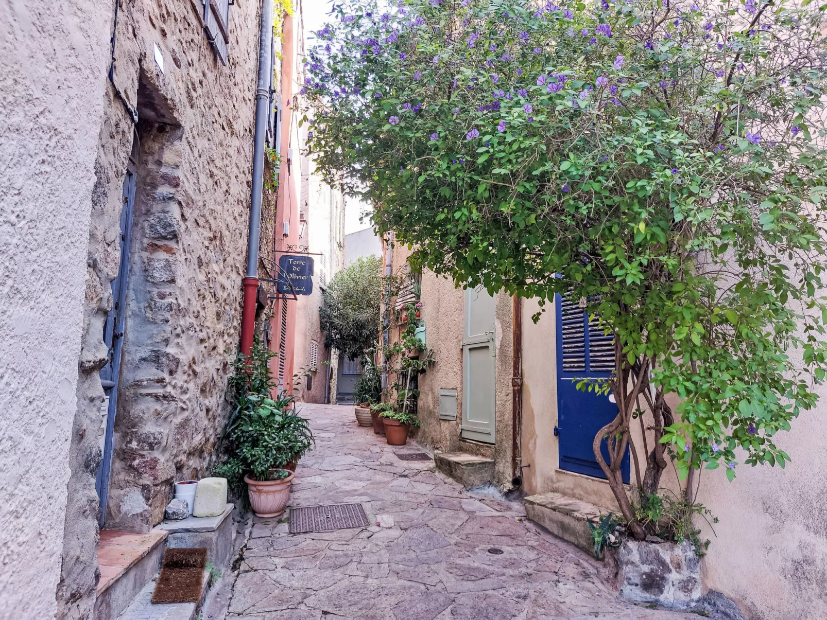 Le Grand Pin - Omgeving