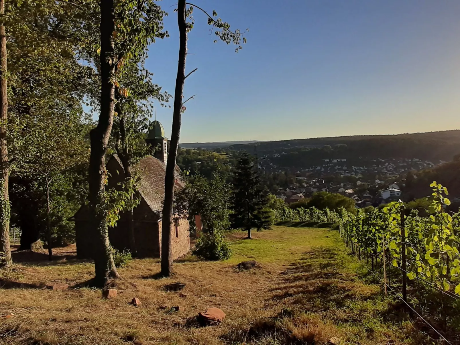 Vineyard-Suites FeWo - Image-tags.info