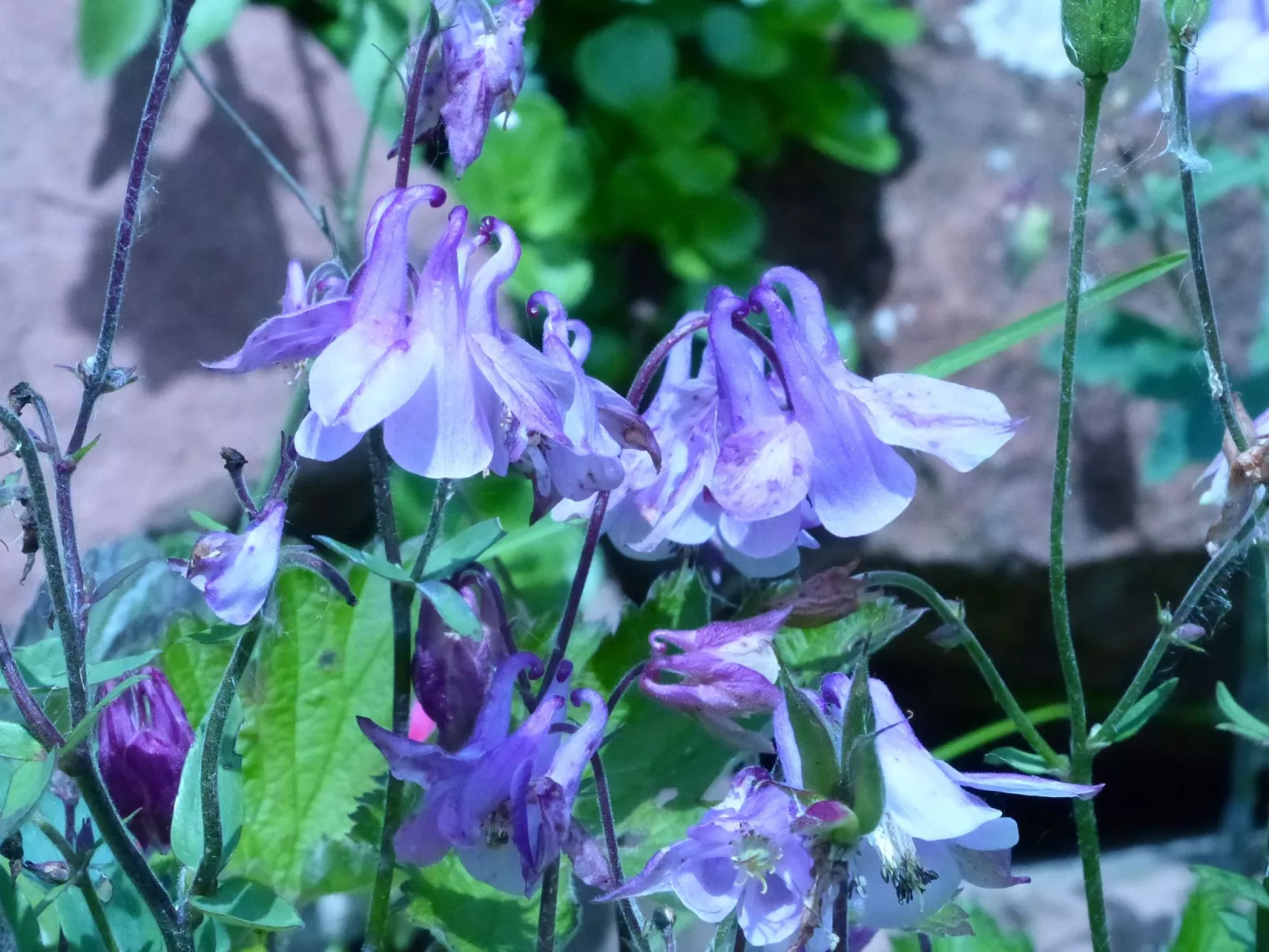 ApartmentmitAusblick - Image-tags.info