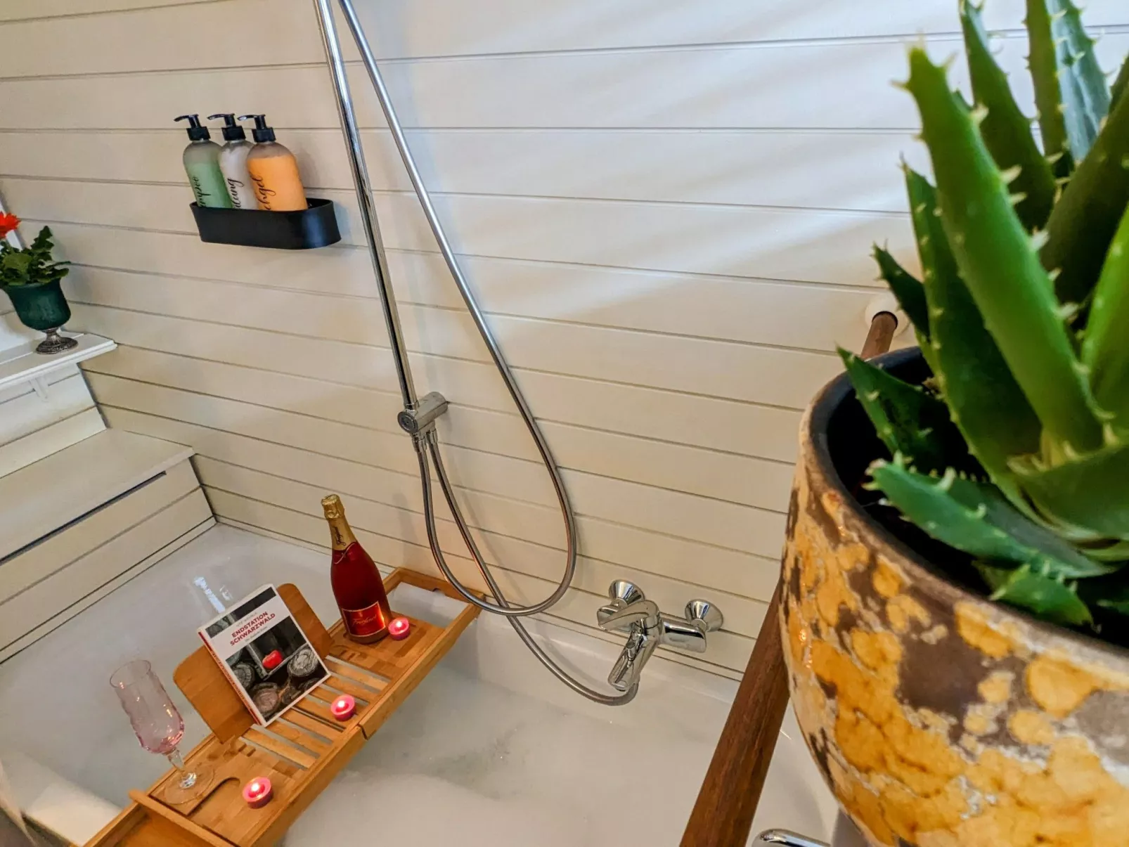 Schwarzwald Loft mit Schwimmbad und herrlicher Aussicht - Image-tags.info