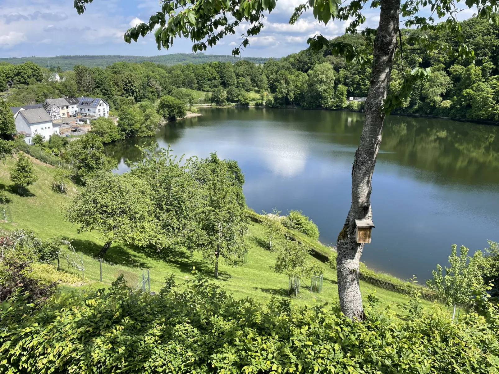 In Ulmen mit Grill - Omgeving