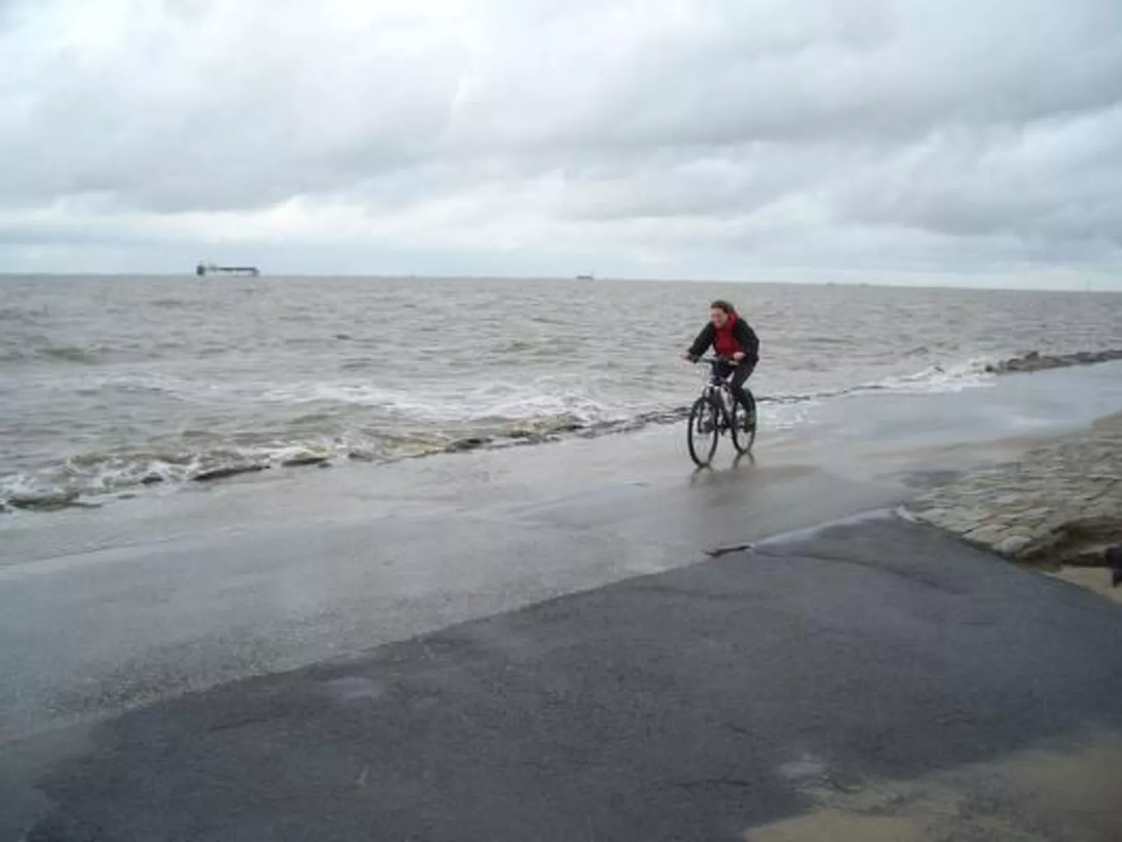 Haus Seehund - Image-tags.info