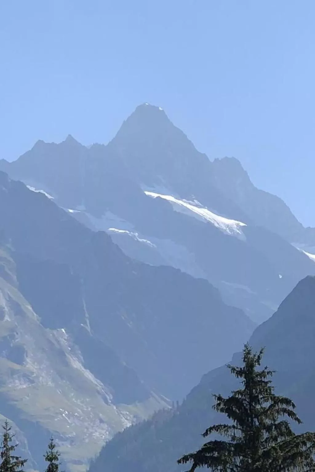 Im grünen - Image-tags.info