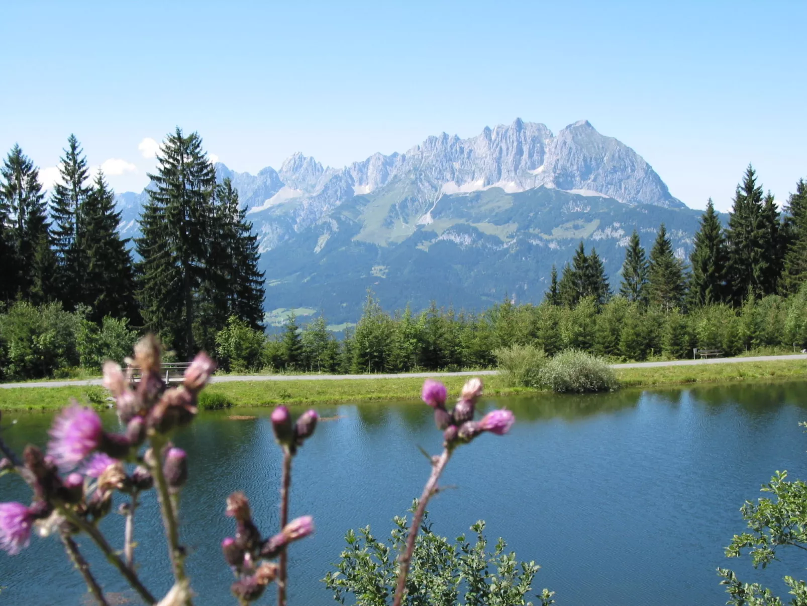 Appartement mit Blick auf den Wilden Kaiser - Omgeving