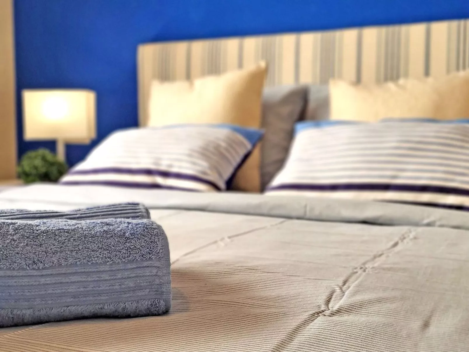 Janida Dream - Image-tags.info