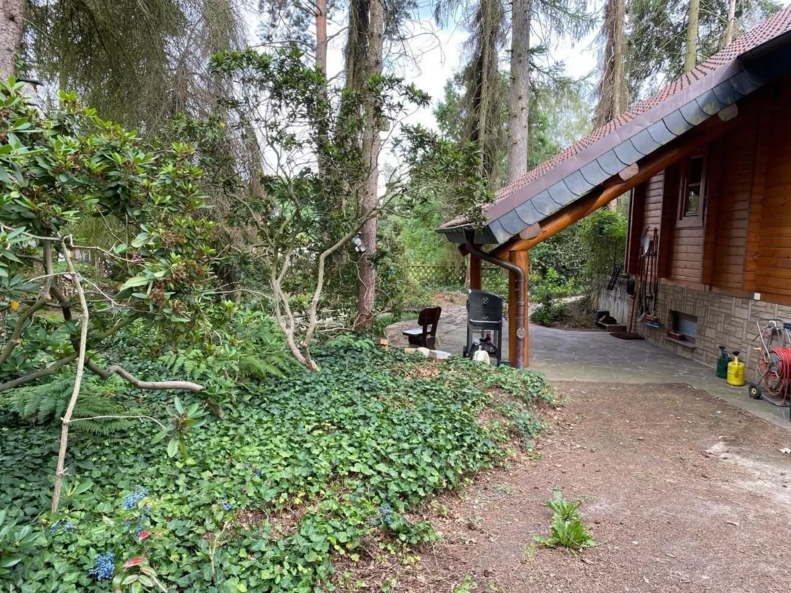 WaldhausEichhörnchen - Image-tags.info