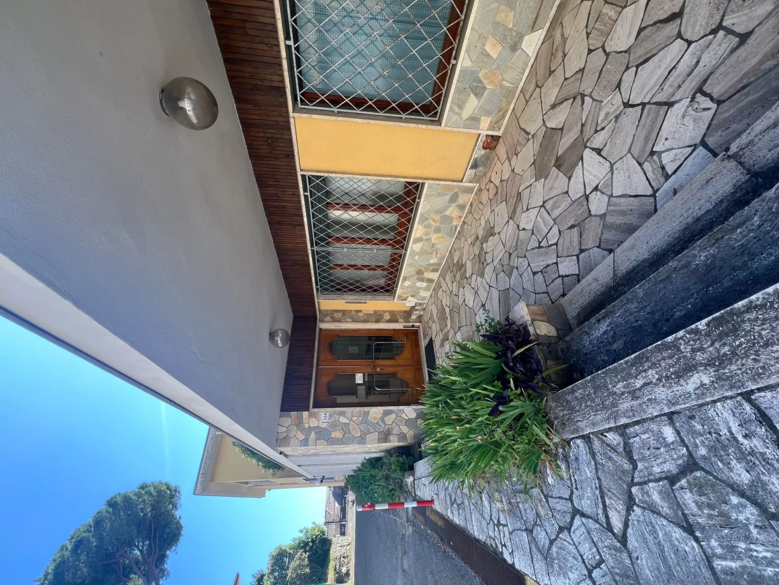 Pitosforo - Image-tags.info