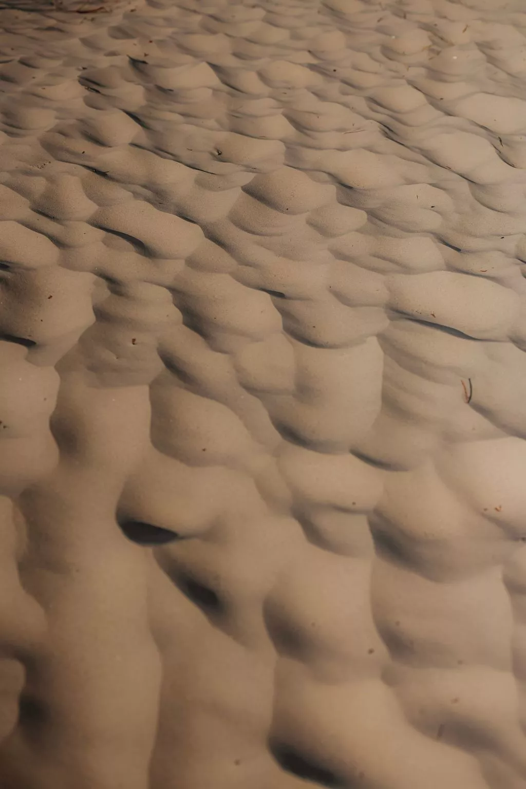 Sealoft auf der Ostsee Floatinghouse Trinity - Image-tags.info