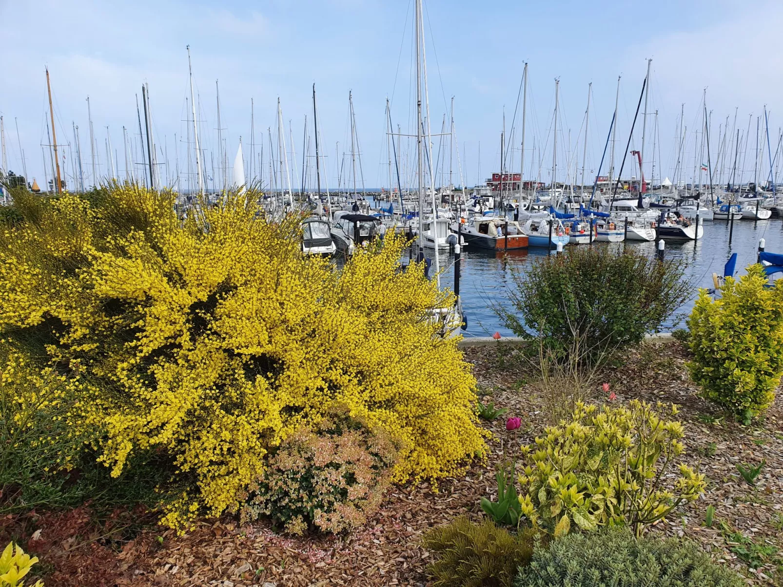 Komfortable Ferienwohnung in Ostseebad Damp mit Großer Terrasse - Image-tags.info