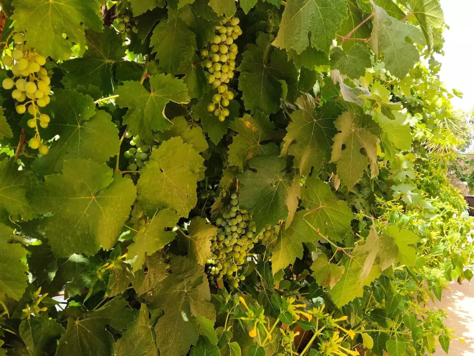 Helles Haus mit Aussicht und privatem Pool - Image-tags.info