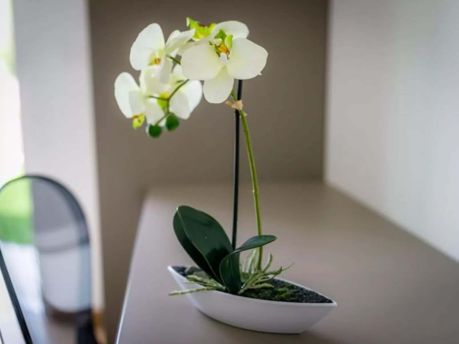 Strandhaus mit Pool in Meeresnähe - Image-tags.info