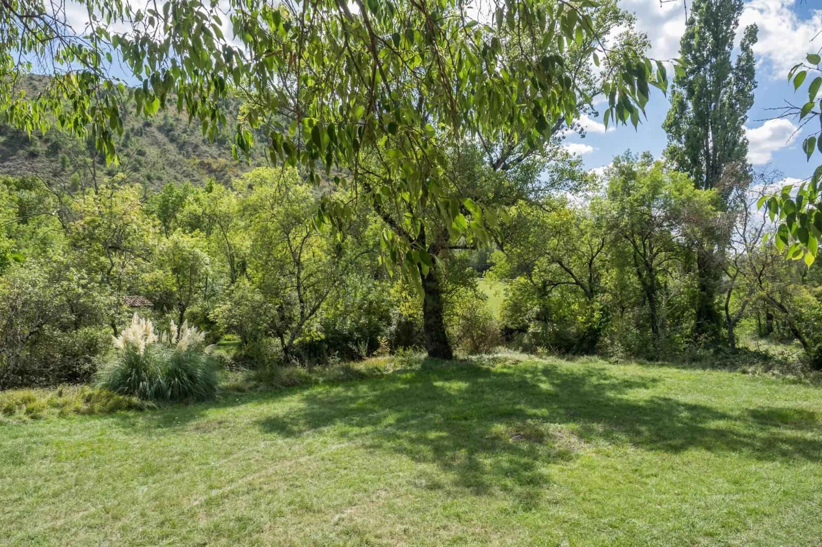 Petit gite - Tuinen zomer