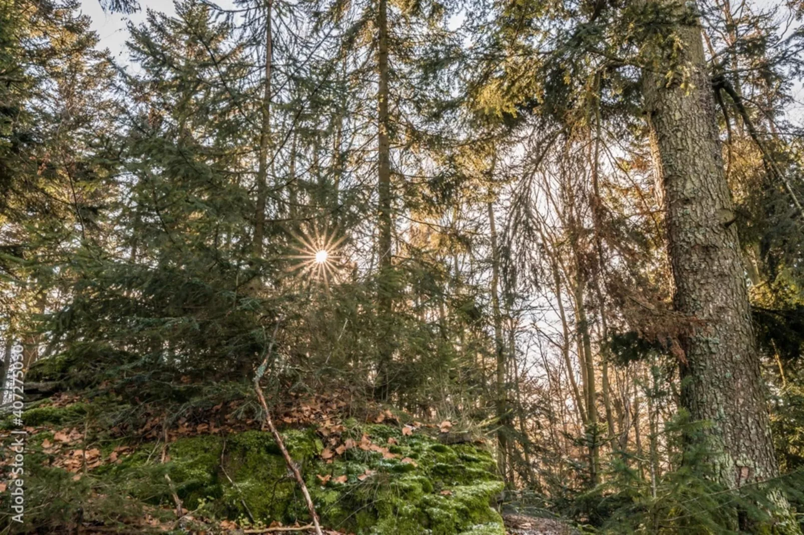 Domaine de Gavaudun - Gite La Chatière-Gebieden zomer 5km