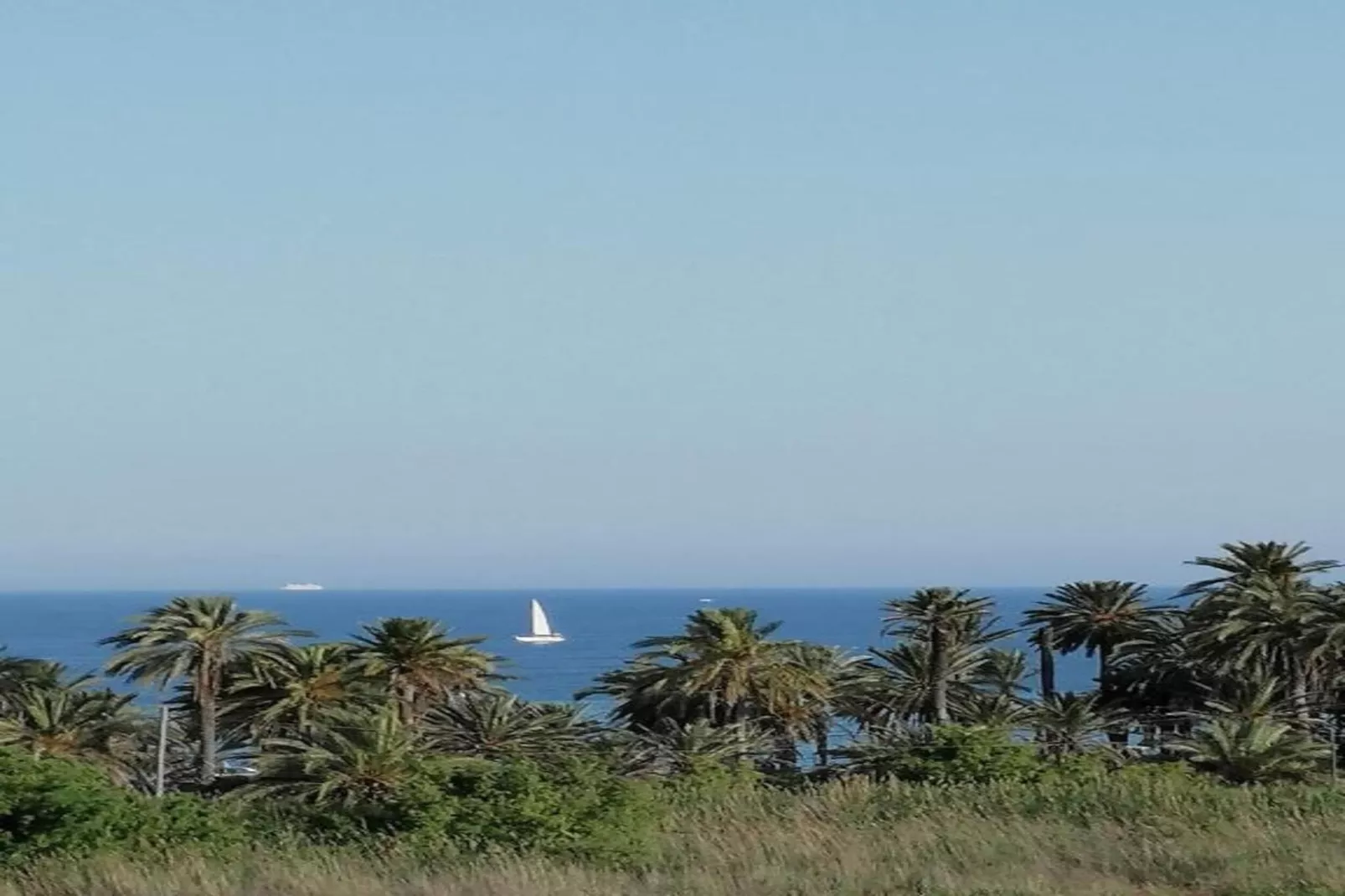 Moguima 2d-Gebieden zomer 1km