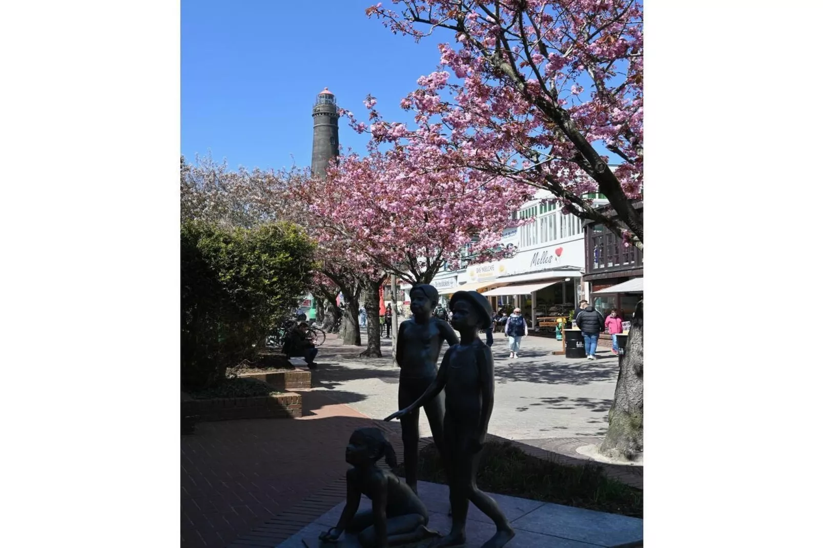 393474-Gebieden zomer 5km