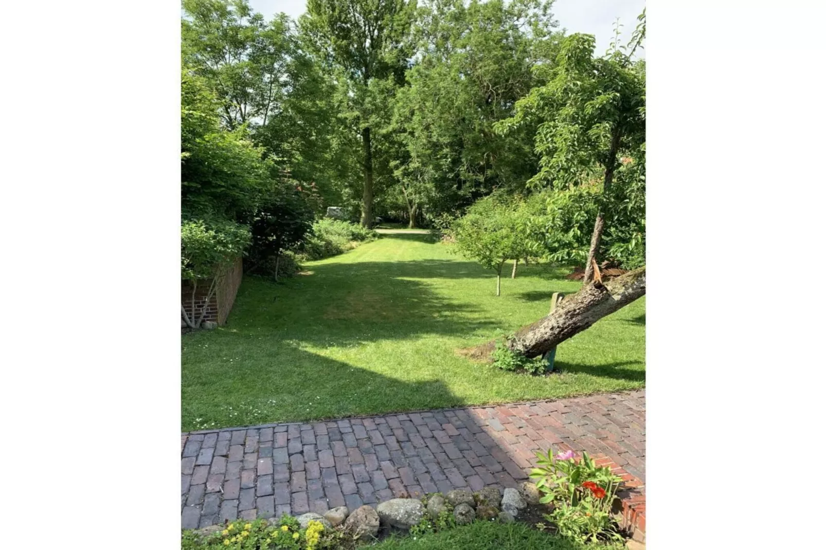 394110 - Tuinen zomer