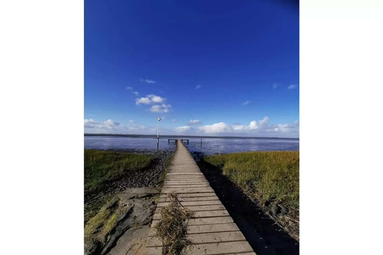 352708-Gebieden zomer 5km