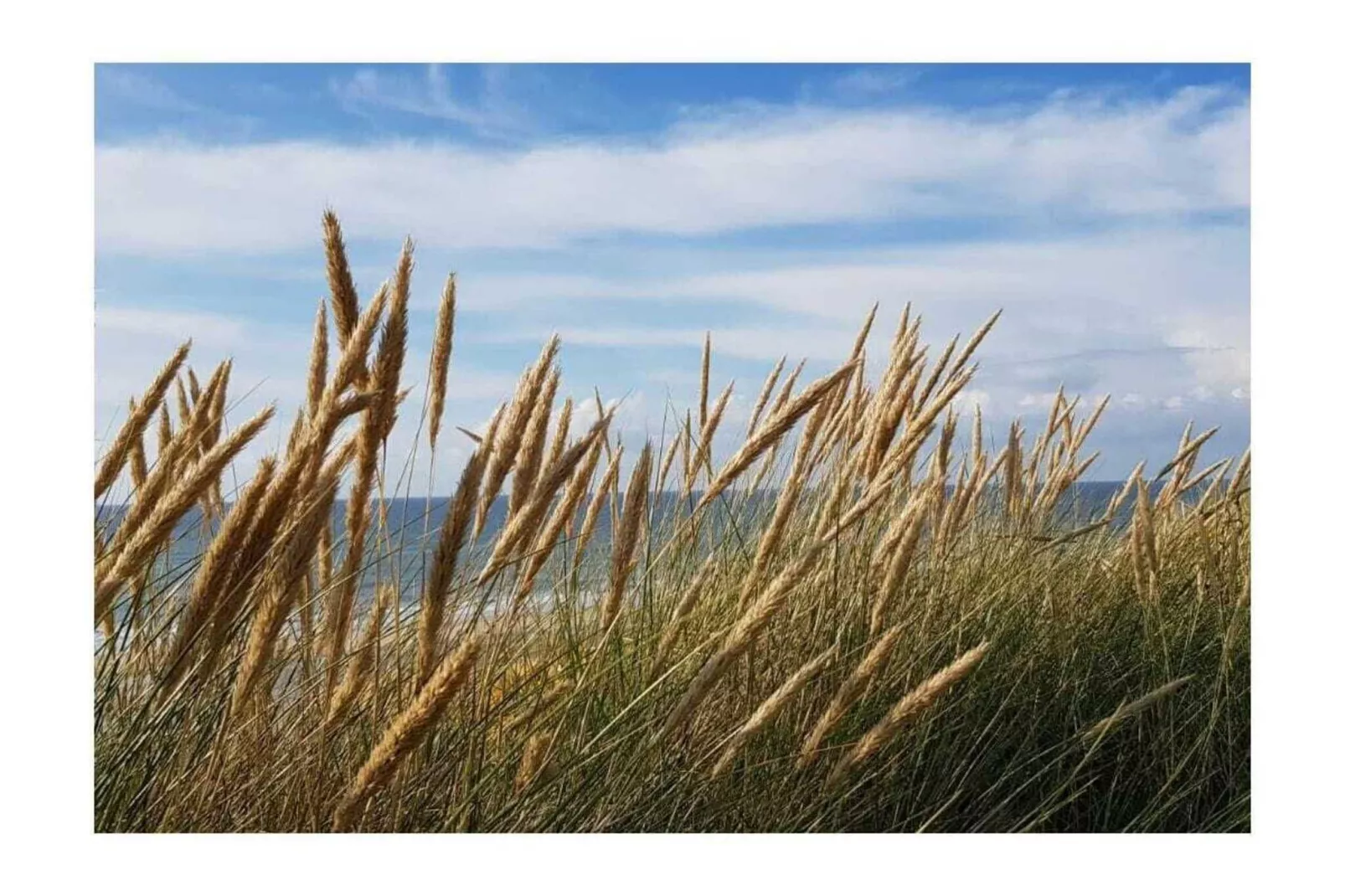 145755-Gebieden zomer 5km