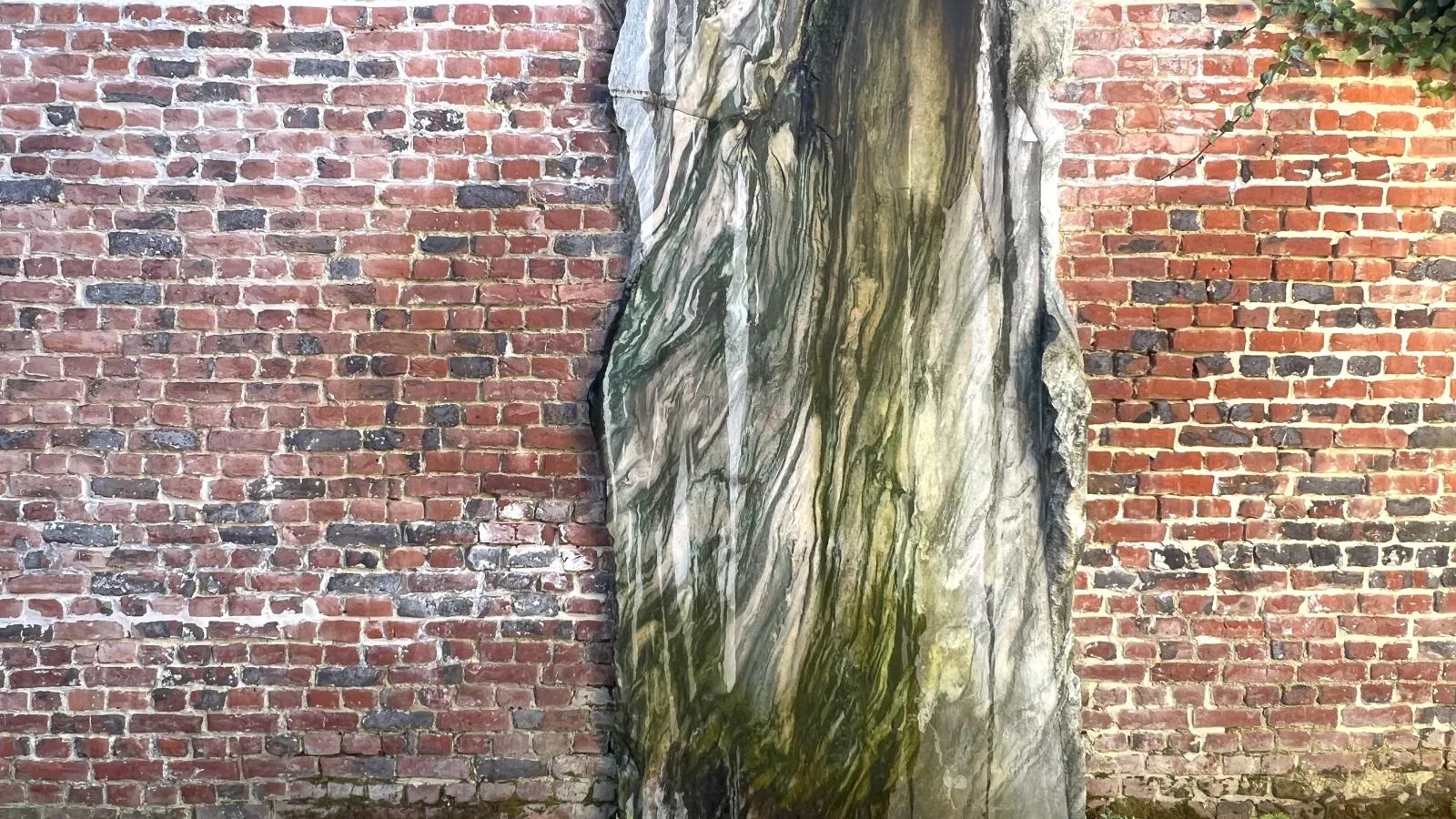 La Maison Bleue petite - Sfeer