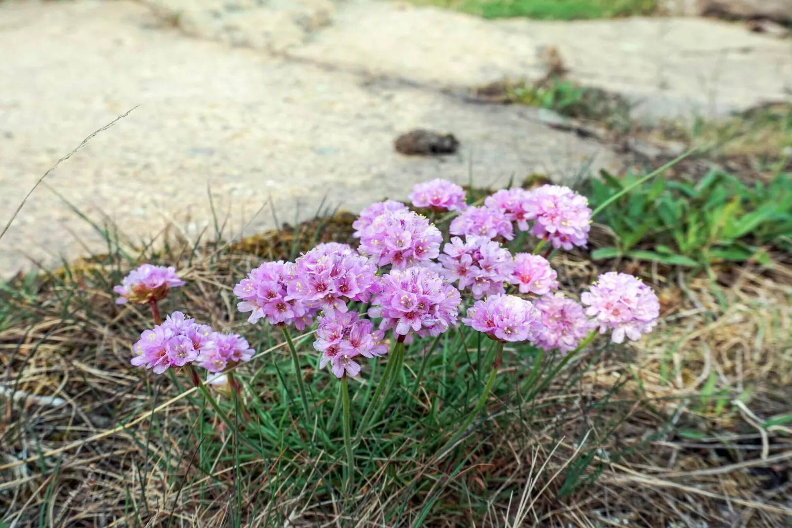 3 Personen vakantie huis in Hunnebostrand-Niet-getagd