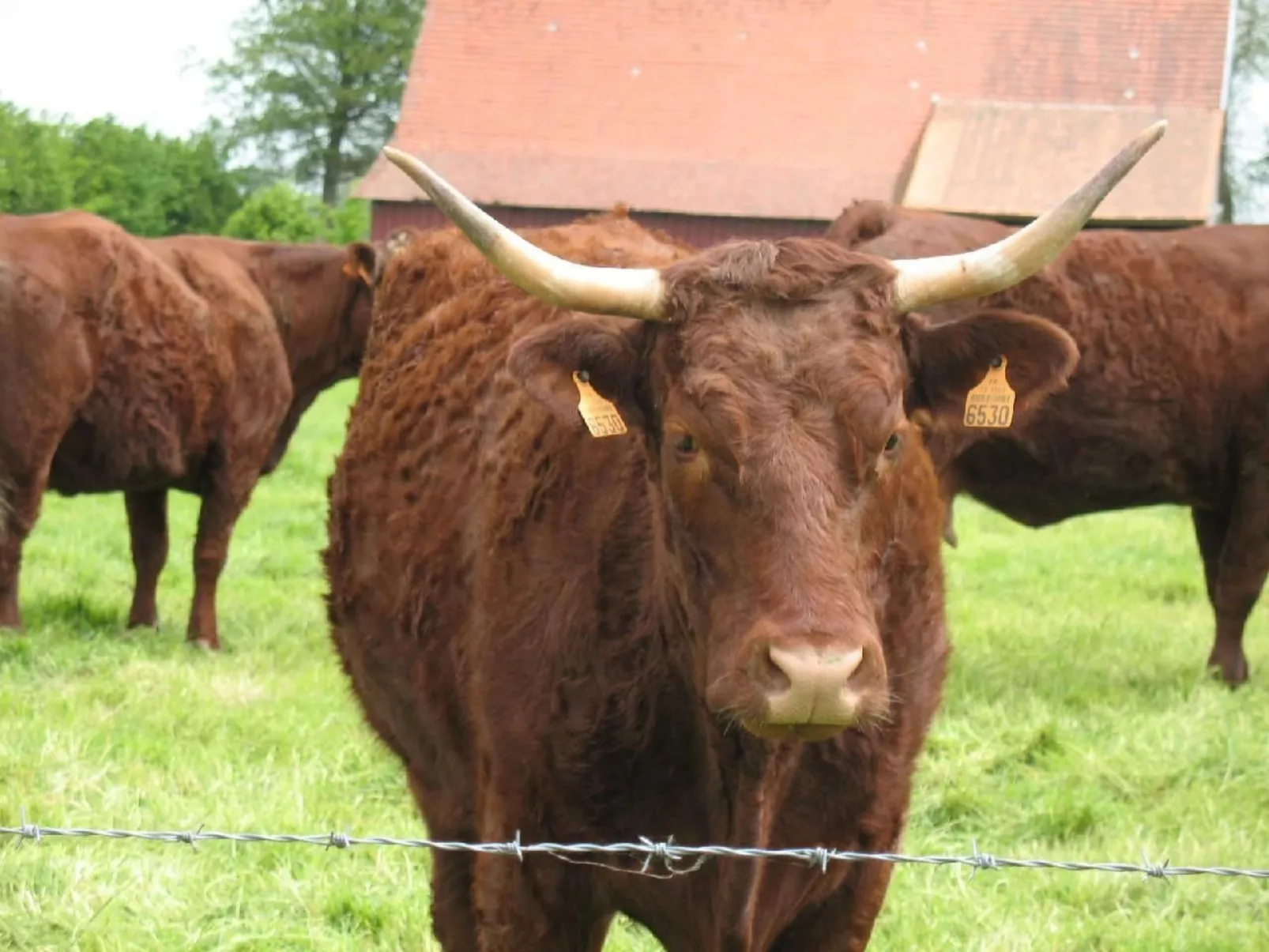 Unterkunft auf dem Bauernhof "La printanière" (Die Frühlingsfrau)-Image-tags.info