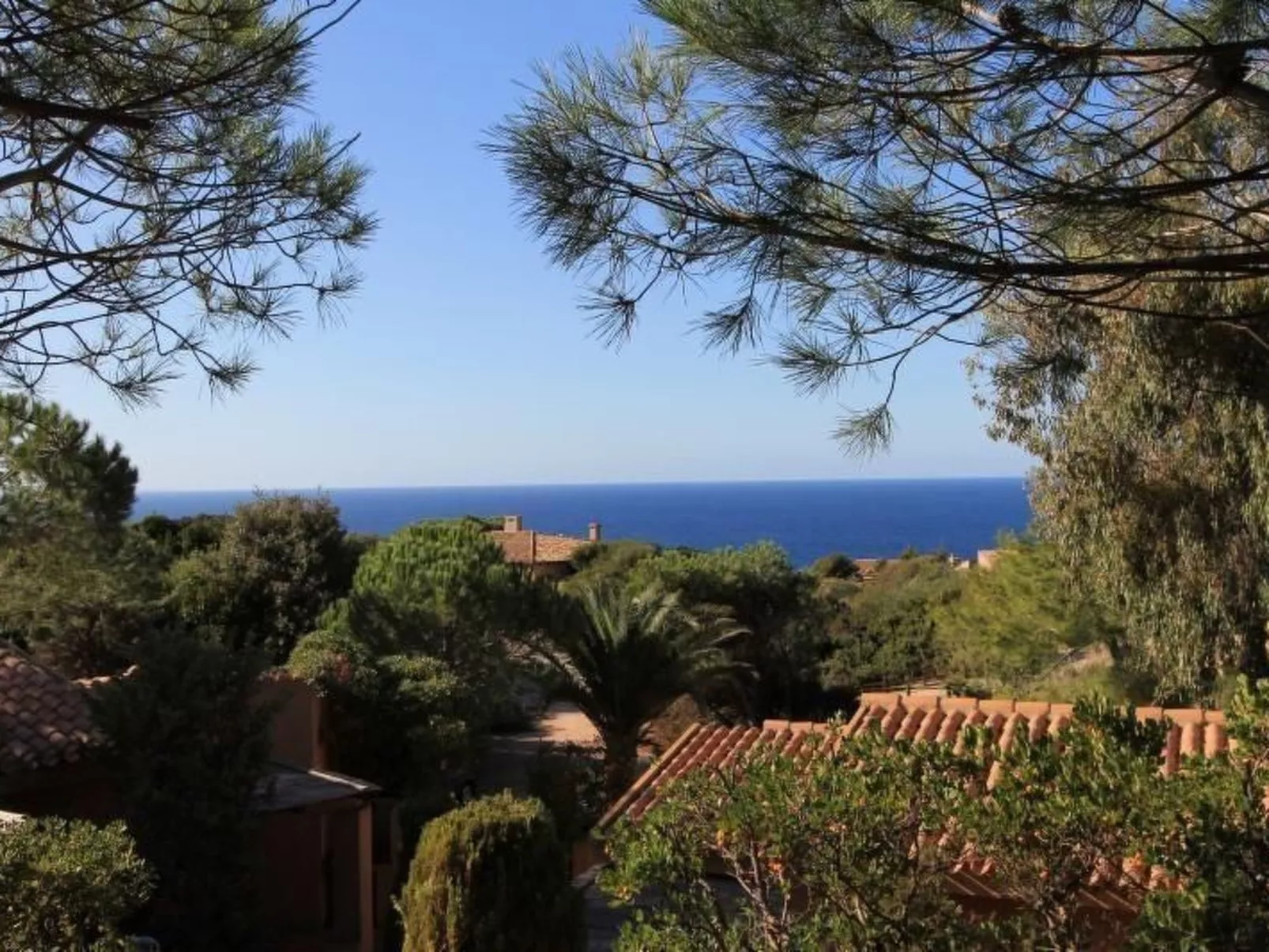 Wohnung 'Rosa 3' mit Terrasse-Buiten