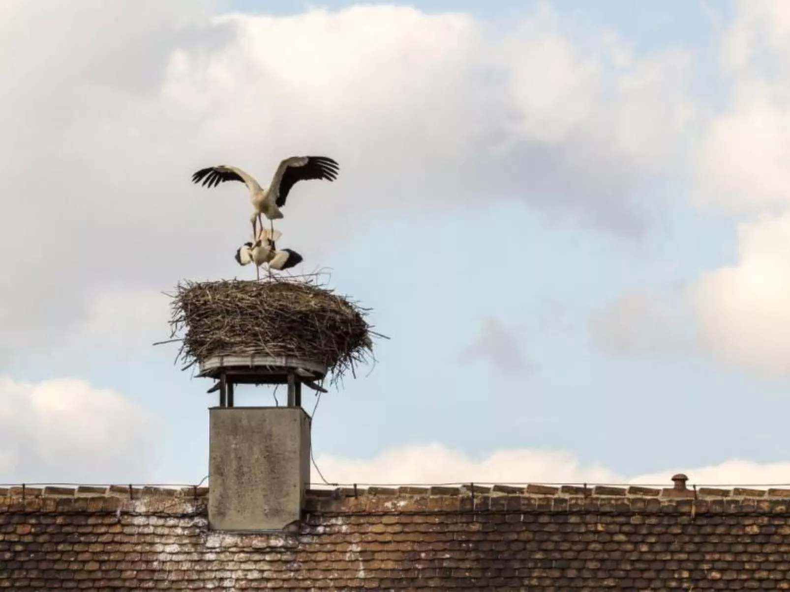 Wohnung in Niedergurig mit Grill, Sauna und Gart-Buiten