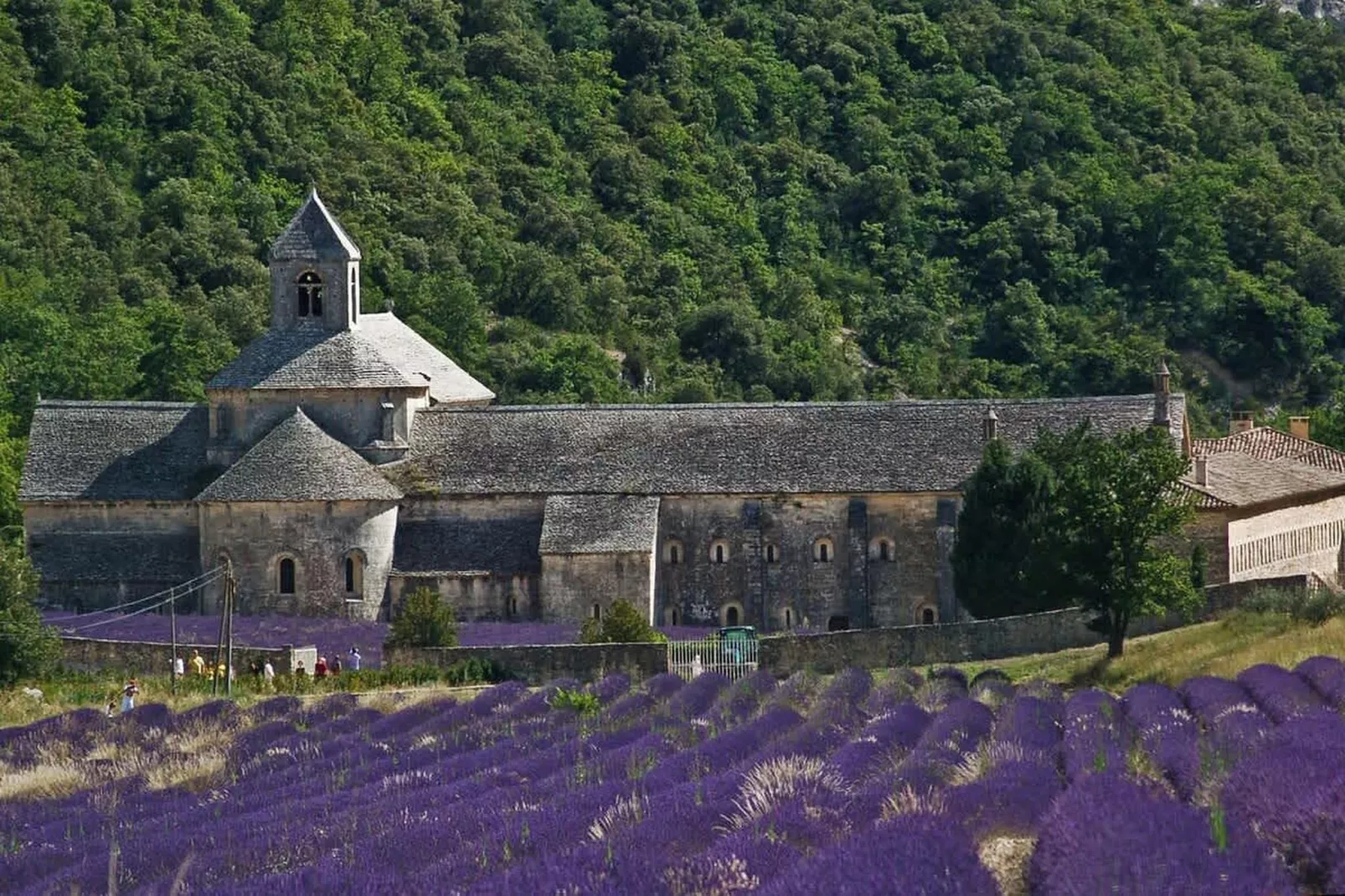 Villa Les Beaumettes - Havre de paix dans le Luberon-Gebieden zomer 1km