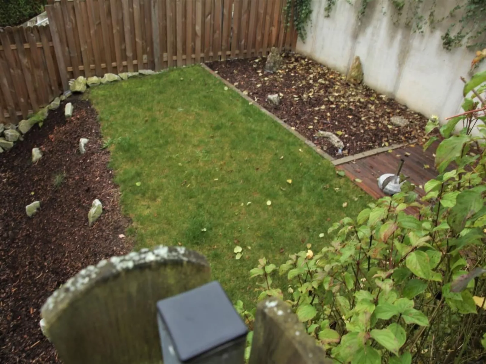 Livi - Image-tags.info