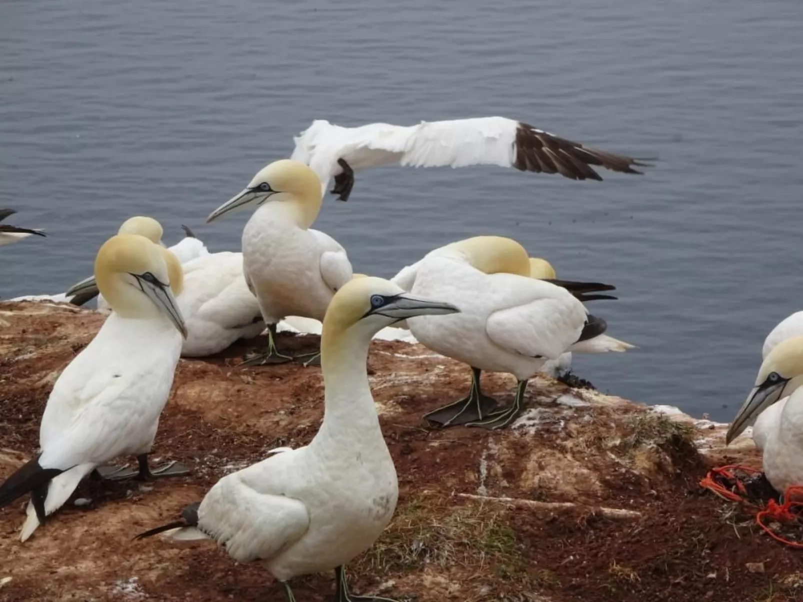 Haus Seestern - Image-tags.info