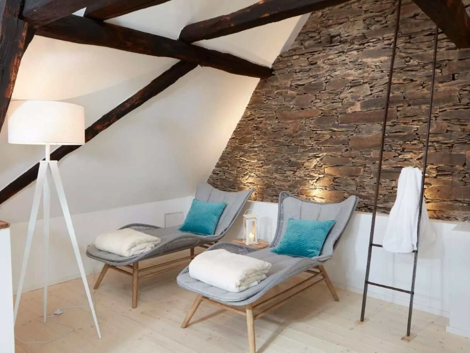 Olive Tree - Image-tags.info