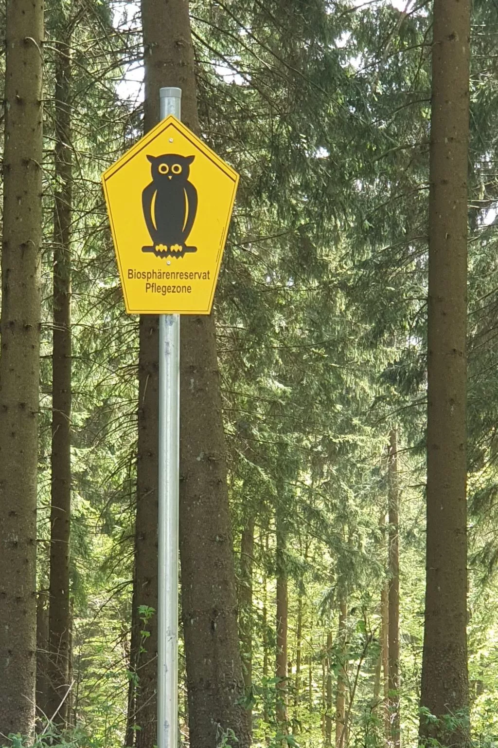 Haus Schneekopf - Image-tags.info