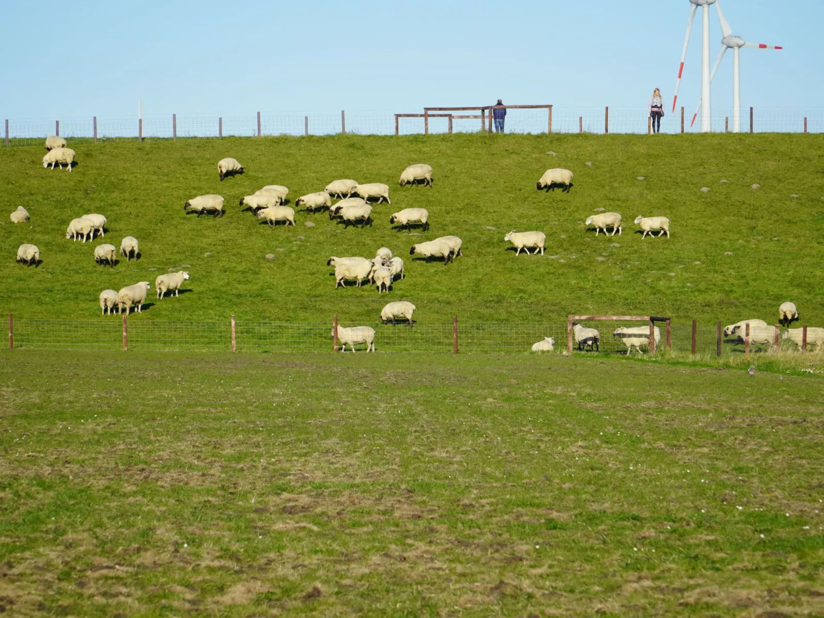 Haus Sternenstrand - Image-tags.info