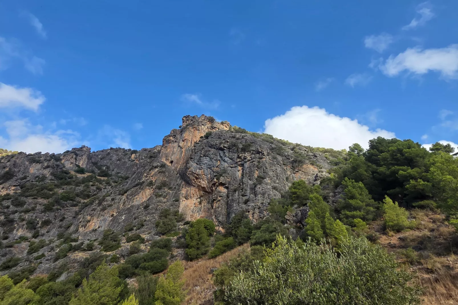 Casita Cartama - Gebieden zomer 1km