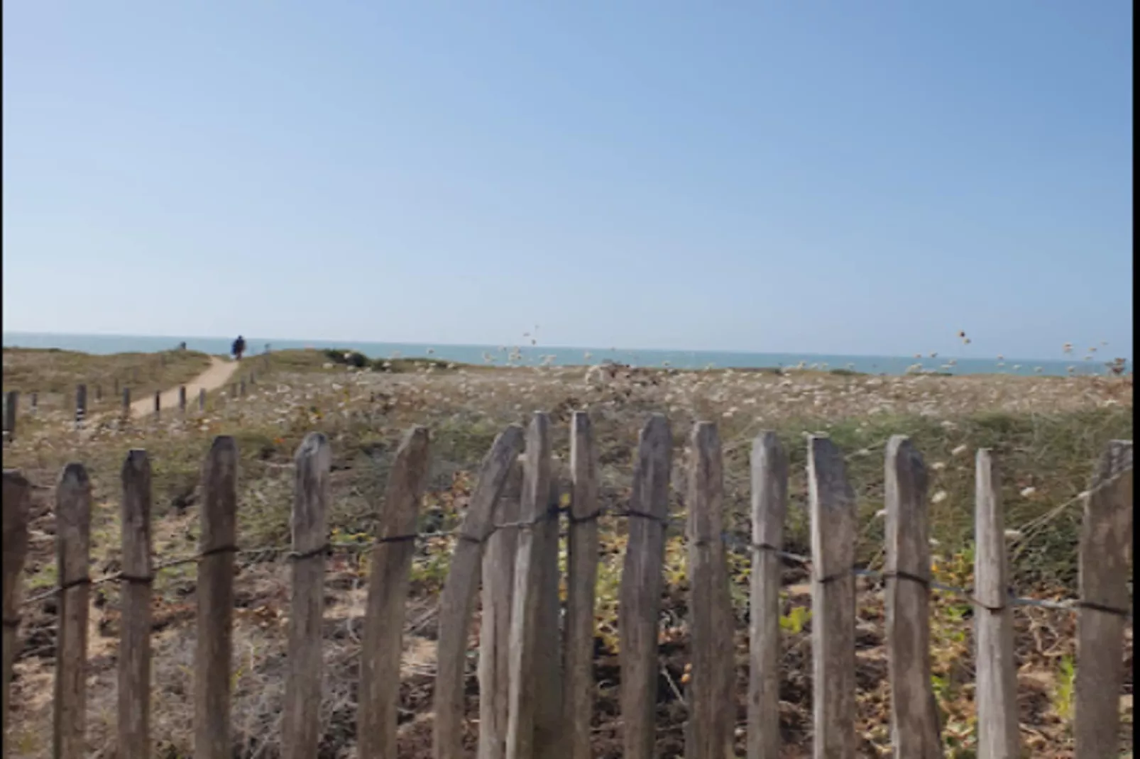 Villa Russie - Domaine Le Sherwood-Buitenkant zomer