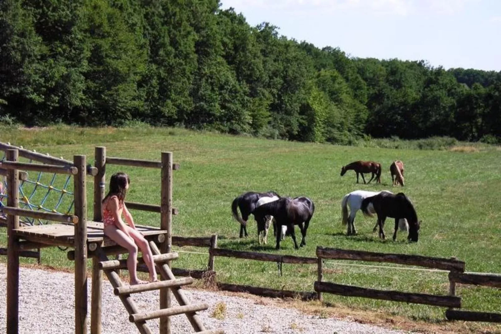 Domaine de Gavaudun - Villa Périgord-Gebieden zomer 1km