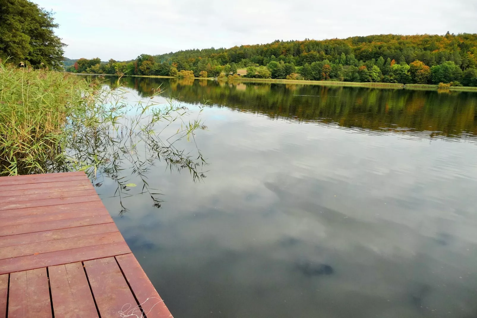 Holiday home Rekowo 120 qm - Gebieden zomer 1km