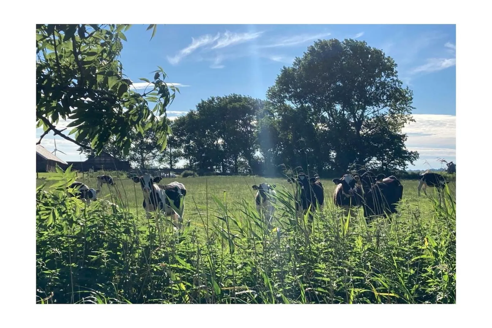 389318-Gebieden zomer 5km