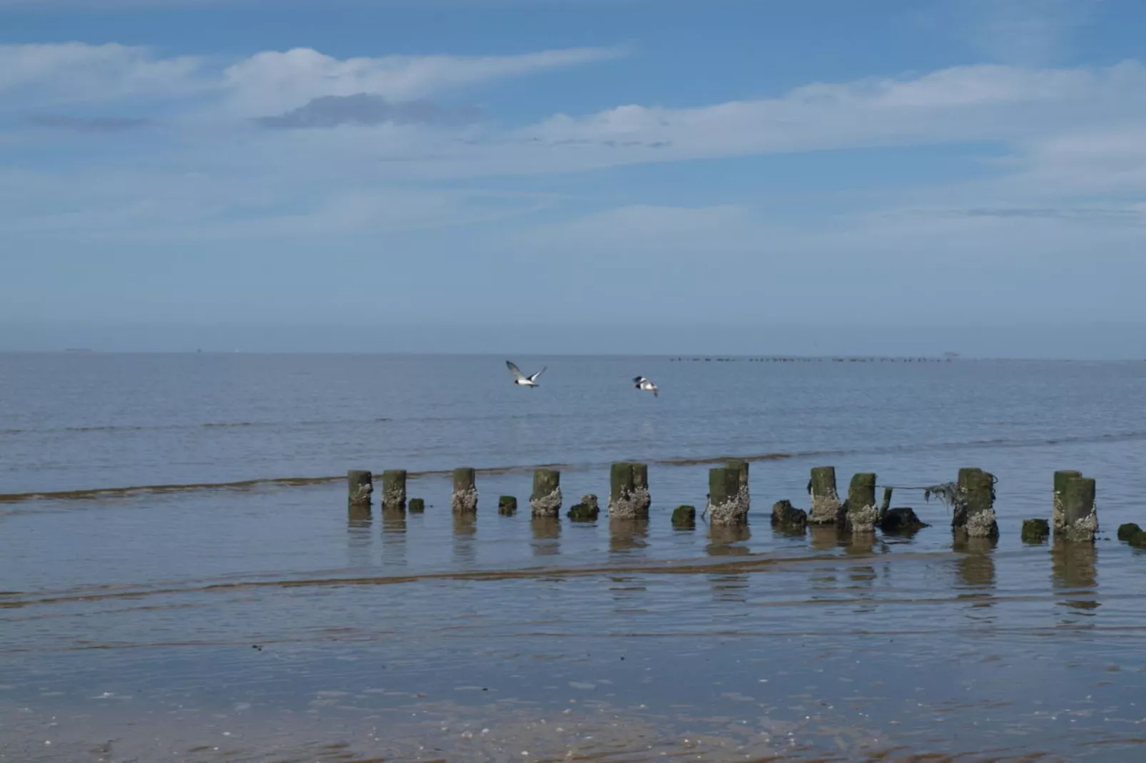 185172-Gebieden zomer 5km