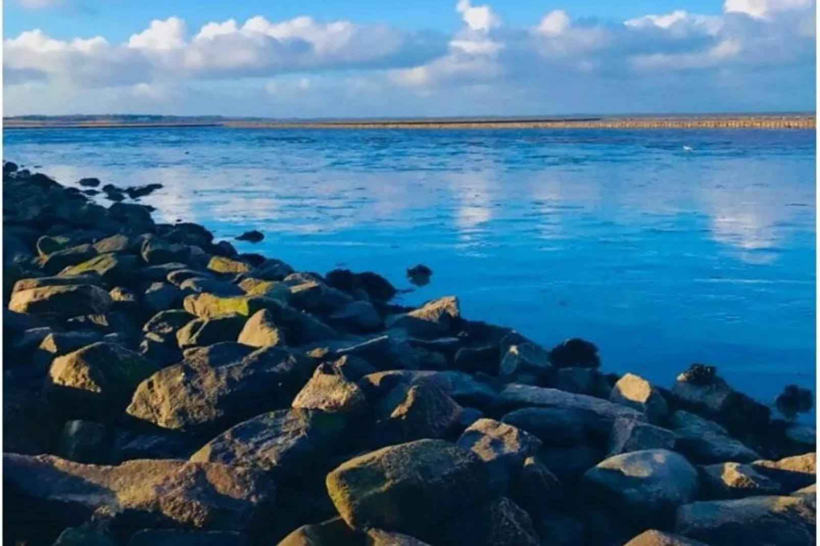 139423-Gebieden zomer 5km