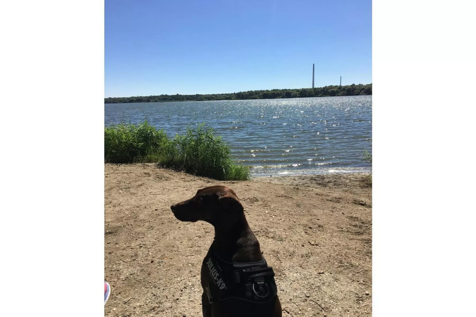 441154-Gebieden zomer 5km