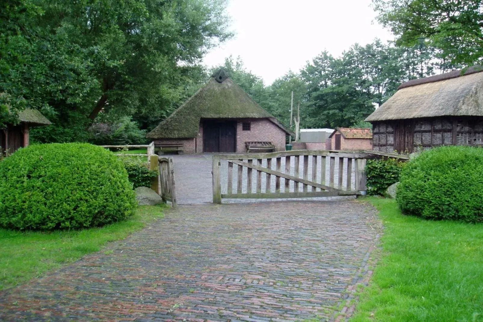 229889 - Gebieden zomer 5km