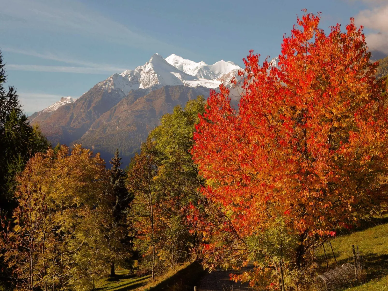 Chalet 1679 - Buiten