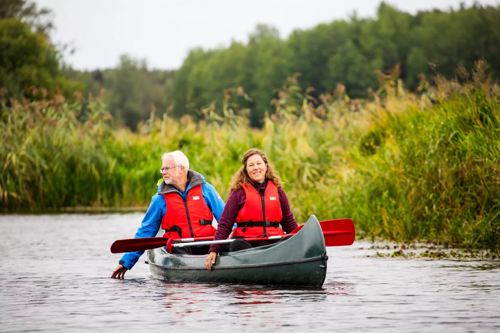 The Farm-Gebieden zomer 5km