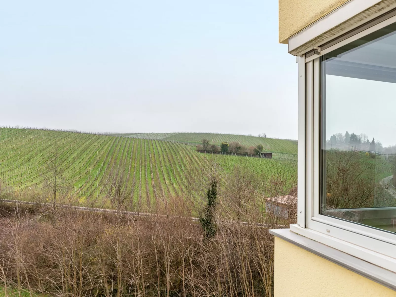 Alex - Image-tags.info