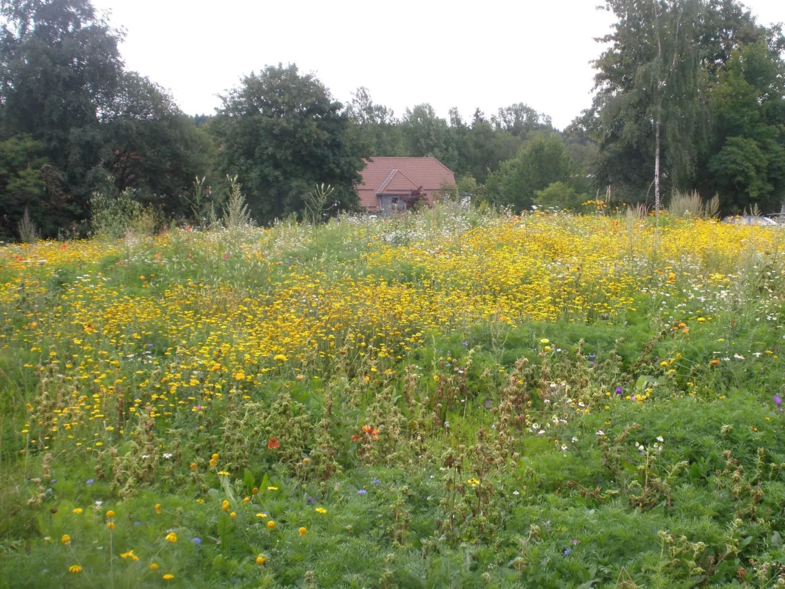 Für zwei bis vier Personen, WLAN - Image-tags.info