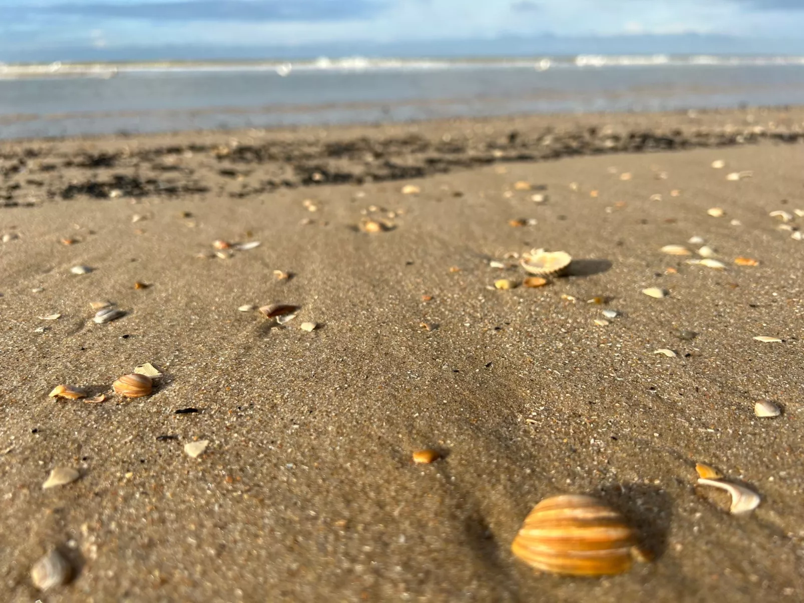 Rekerlanden 202 - Image-tags.info