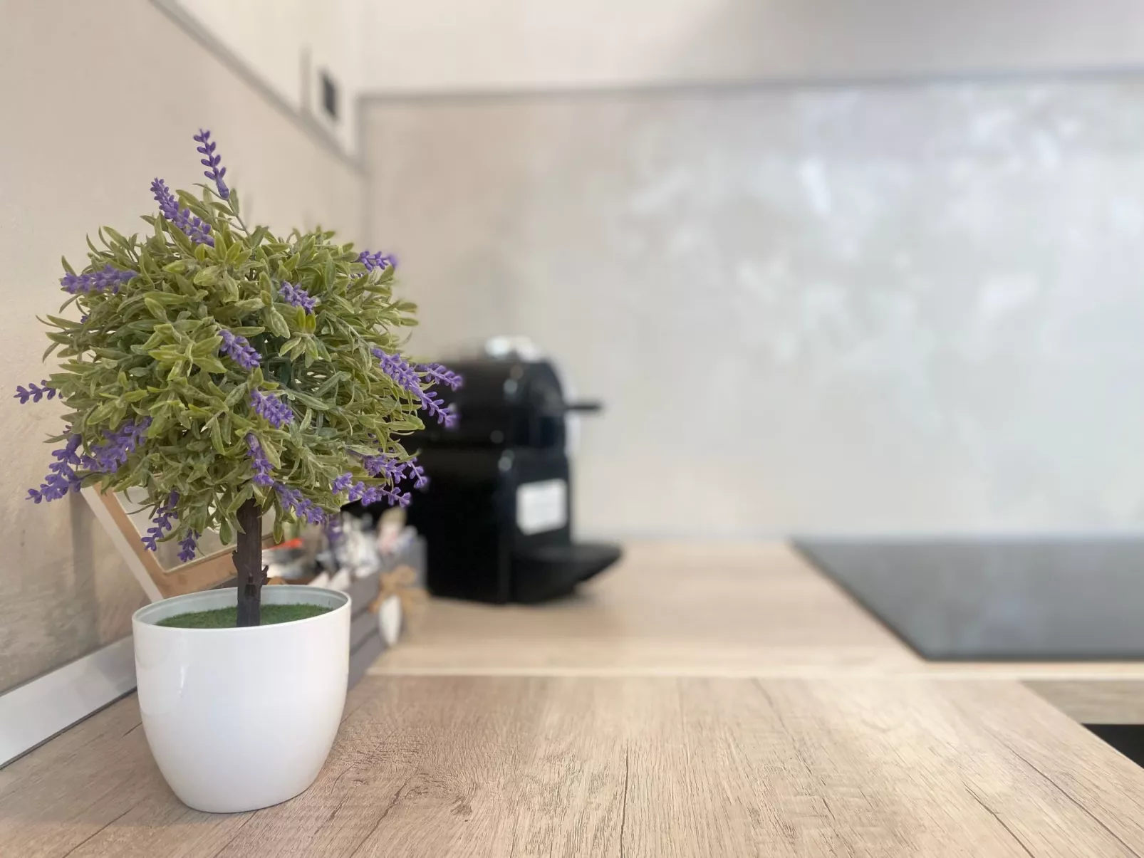 Wohnung in Rapallo mit kostenloser Privatgarage - Image-tags.info