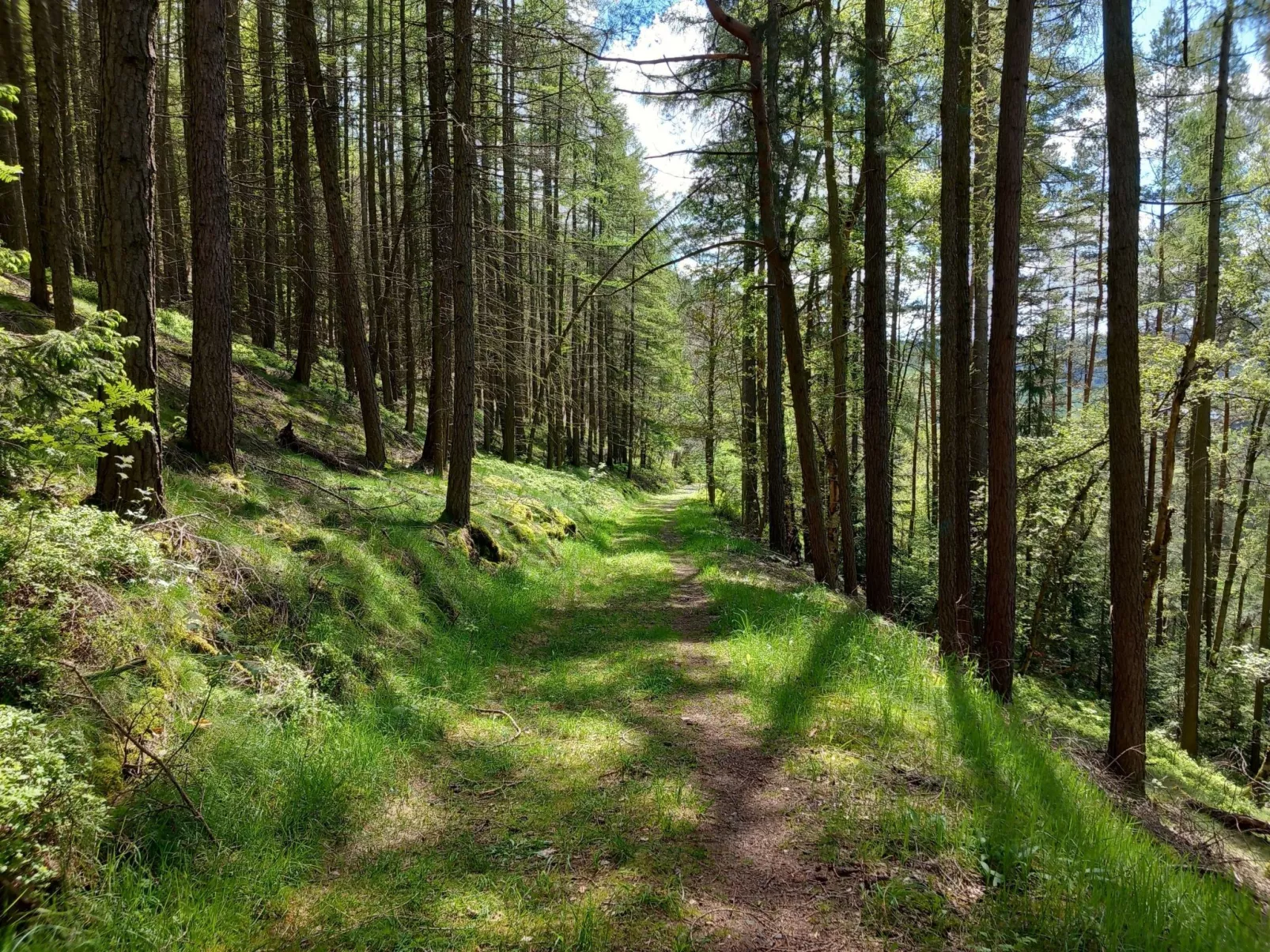 FH Panoramablick - Image-tags.info